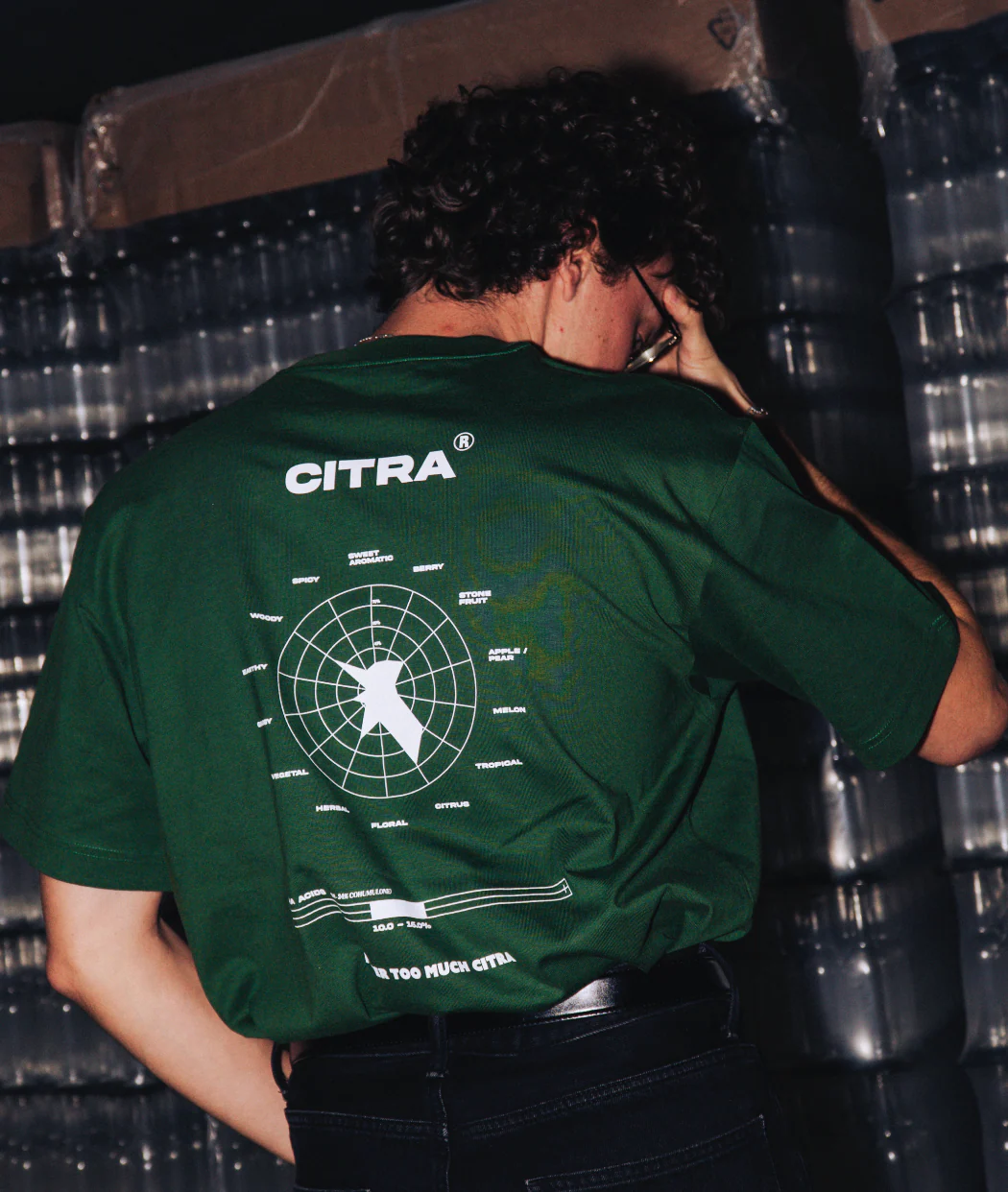 T Shirt  - ROUE CITRA - Image 3