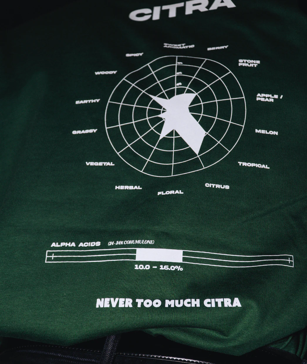 T Shirt  - ROUE CITRA - Image 4