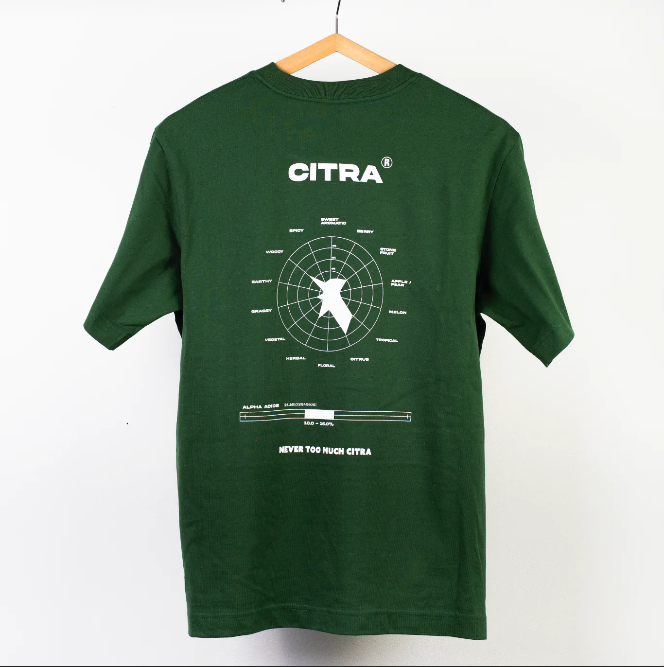 T Shirt  - ROUE CITRA - Image 6
